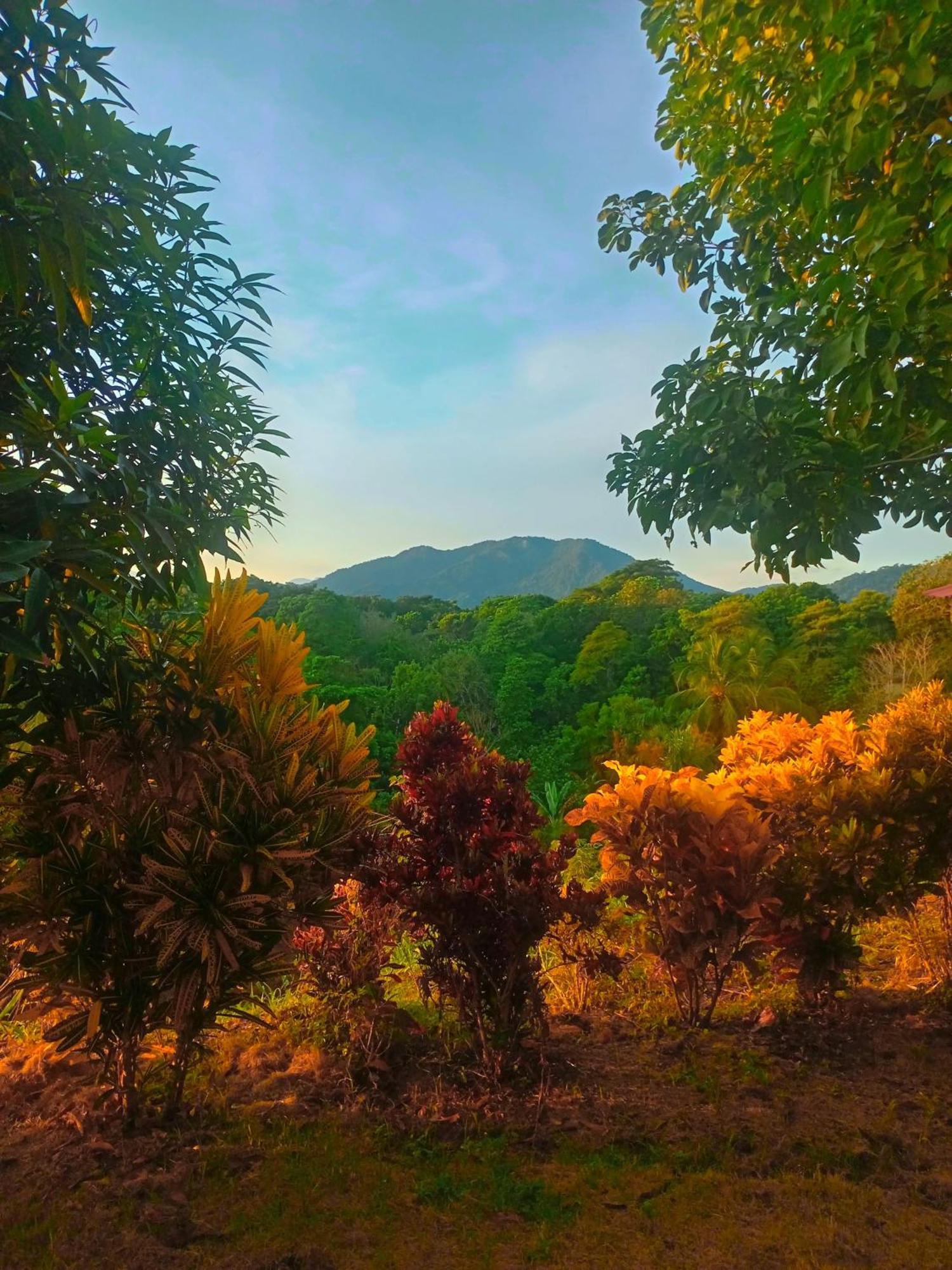 Casa Tolosa Tayrona, Los Cocos La Poza Exteriör bild
